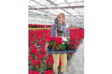 Photo de Nathalie RIVOLLIER Photo de Nathalie RIVOLLIER